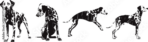 dalmatian dog silhouettes in various standing and walking poses minimalist black and white design