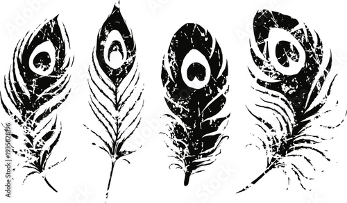 Vintage peacock feathers silhouette set grunge textured bird tail plume collection for design and decoration