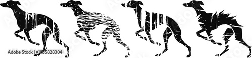 silhouettes of greyhound dogs in various running and standing poses on white background