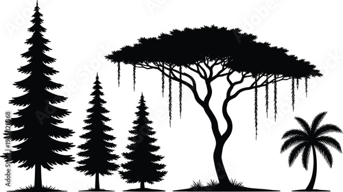 Collection of tropical and forest tree silhouettes including pine acacia and palm isolated on white background botanical vector illustration