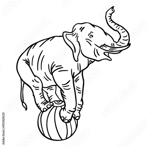 Elephant circus stroke