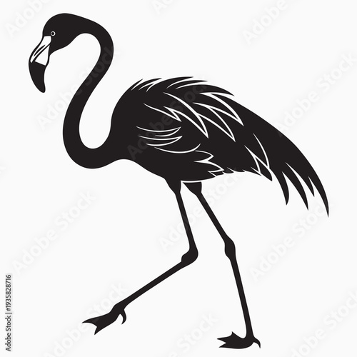 vector illustration of a flamingo