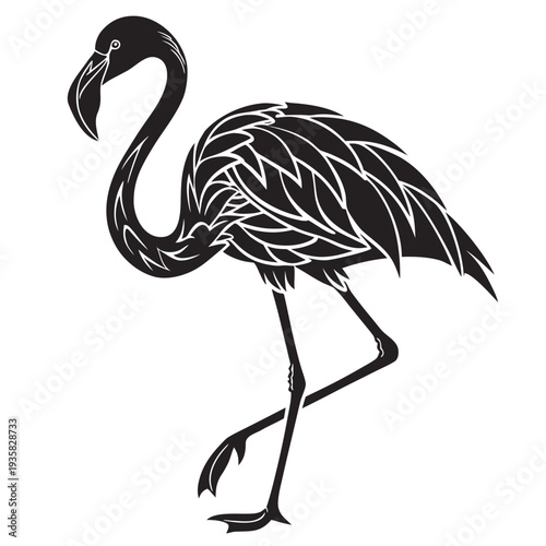 illustration of a flamingo