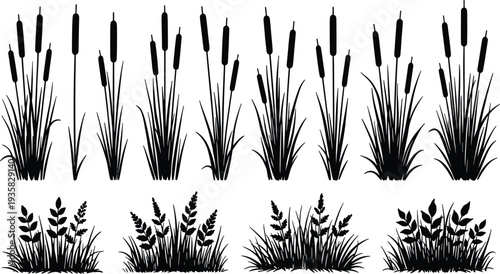 Set of tropical palm tree silhouettes isolated on white background summer beach landscape botanical vector illustration collection for nature design