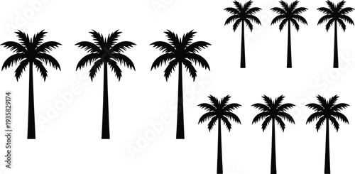 Set of tropical palm tree silhouettes isolated on white background summer beach nature botanical vector illustration collection for design