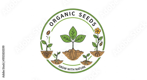 This charming circular vector logo beautifully illustrates the growth lifecycle of a plant, from a tiny seed to a blossoming flower. Featuring the text Organic Seeds and Grow with Nature.