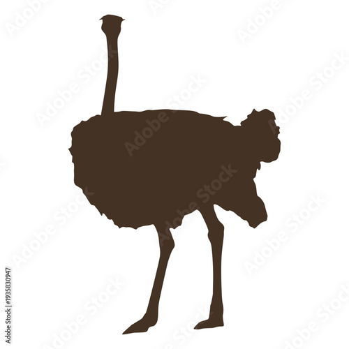 Large ostrich silhouette