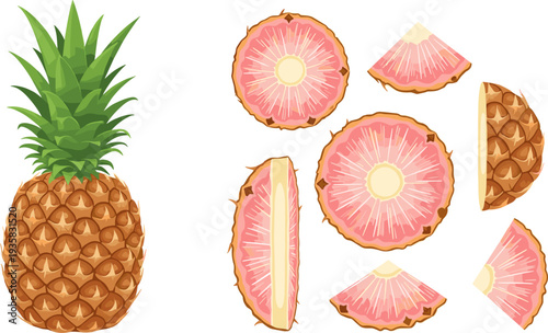 Pineapple and Pink Pineapple Slice Icon Set Featuring Whole Pineapple, Cross Sections and Fruit Pieces for Tropical Food Design and Exotic Nutrition Illustration