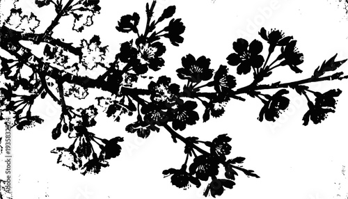 Black silhouette of blooming cherry blossom branch on white background