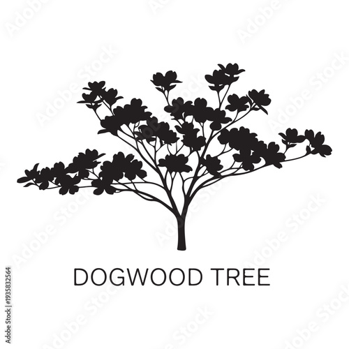 Dogwood tree silhouette isolated on white background, ornamental plant vector illustration