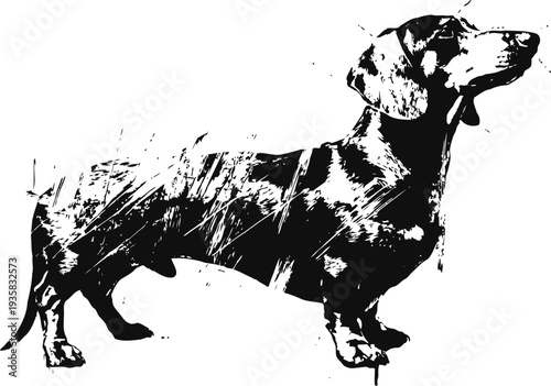 dachshund dog silhouette with textured grunge effect, long body, short legs, and alert posture