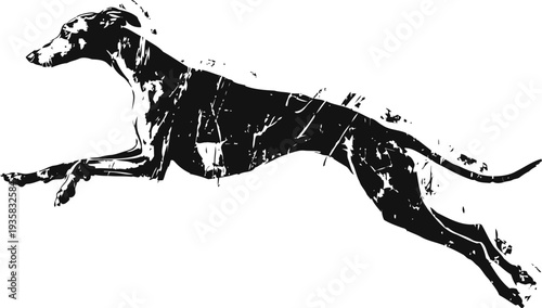 Silhouette of a greyhound dog running and jumping with dynamic motion and sleek body shape