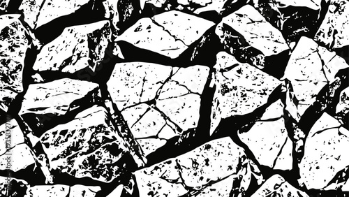 Cracked dry ground texture pattern in black and white with irregular fissures
