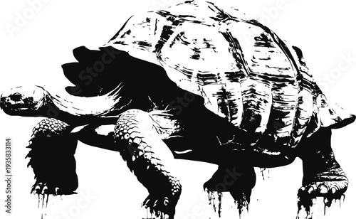 Black and white turtle illustration, detailed reptile drawing with textured shell and limbs