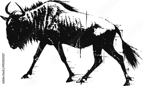Silhouette of wildebeest walking with head down in black and white