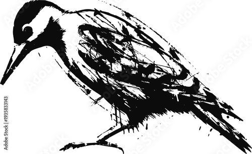 Black woodpecker silhouette bird perched, detailed feather texture nature illustration, wildlife and forest concept