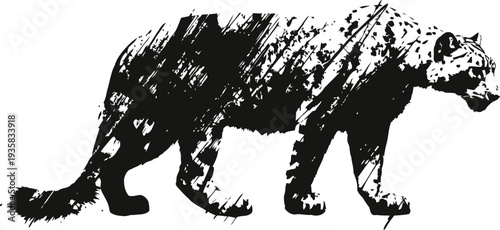 Black silhouette of a walking bear with textured grunge wild animal vector illustration