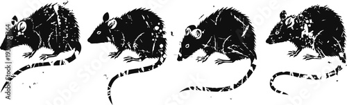 vintage black rat illustrations in various poses with detailed fur and long tails