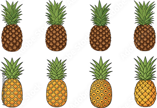 Pineapple Icon Set Featuring Different Pineapple Styles and Textures for Tropical Fruit Design, Fresh Juice Graphics and Healthy Food Illustration