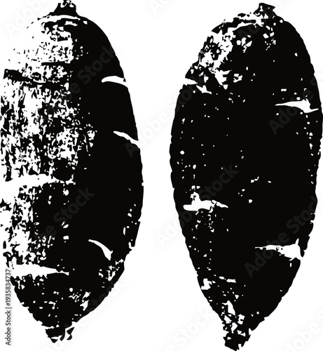 Black and white grunge cocoa pods silhouette illustration with textured details on white background