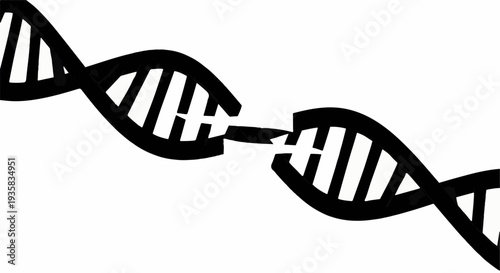 Abstract representation of a broken DNA double helix on a white background