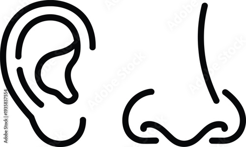 A drawing of an ear and a nose