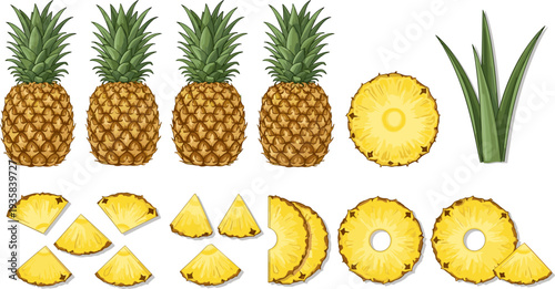 Pineapple Icon Set Featuring Whole Pineapple, Pineapple Rings, Slices and Chunks with Leaves for Tropical Fruit Design, Fresh Juice Graphics and Healthy Food Illustration