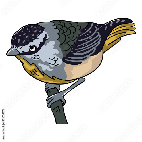 Realistic bird perching branch illustration