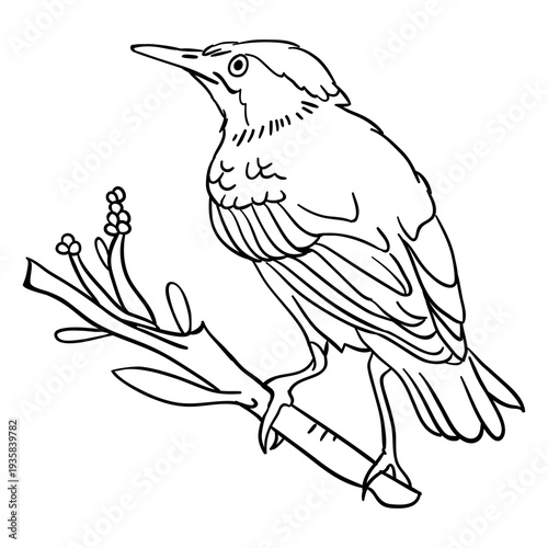Realistic bird perching branch stroke