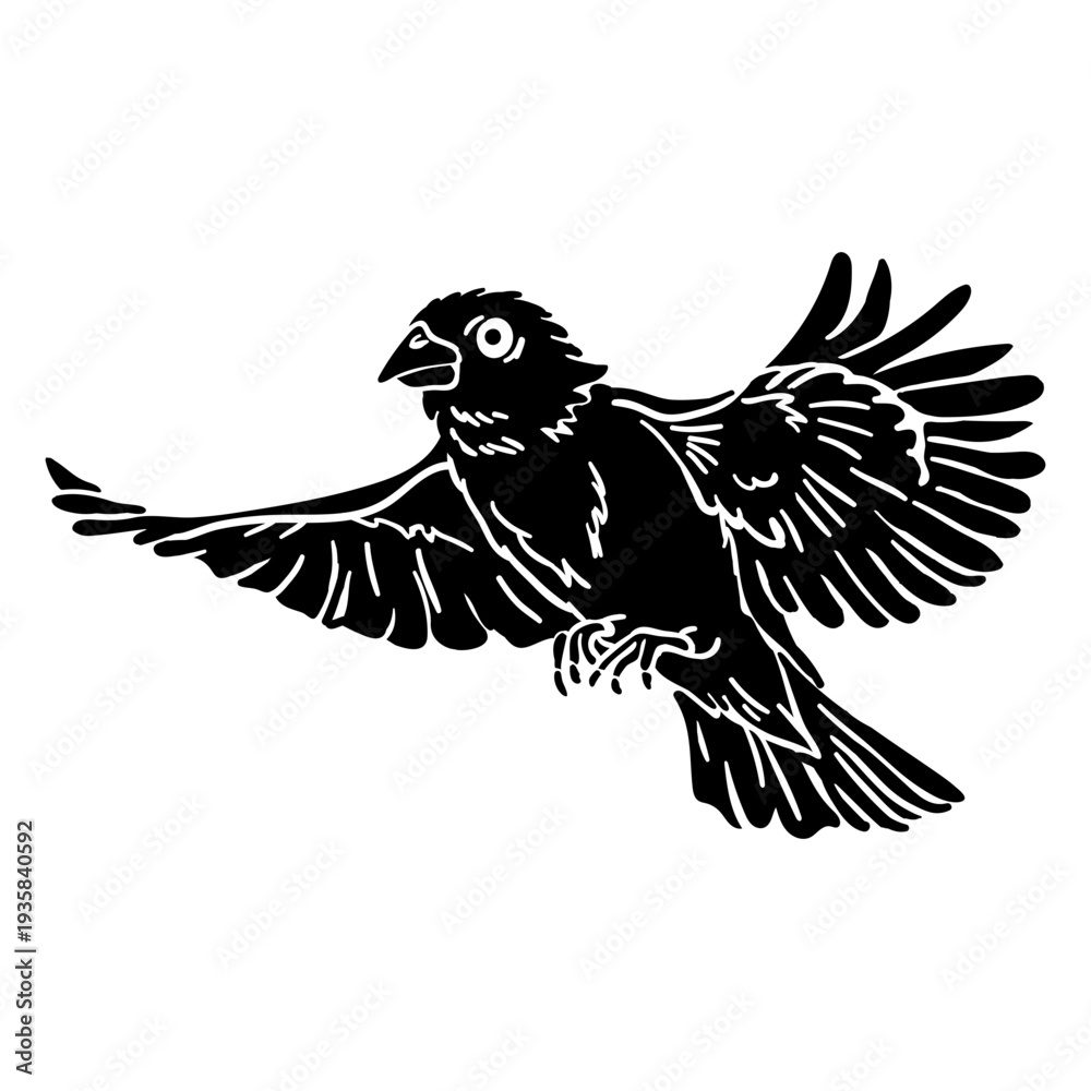 Fototapeta premium Realistic hand drawn grosbeak flying black