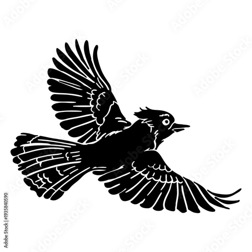 Realistic hand drawn blue jay flying black