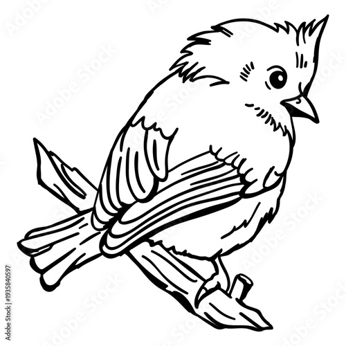 Realistic hand drawn bird perching stroke