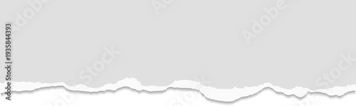 Paper scrap blank white template with damaged edge