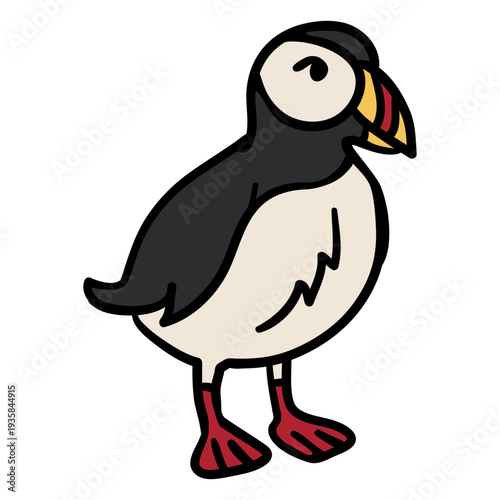 Atlantic puffin seabird hand drawn