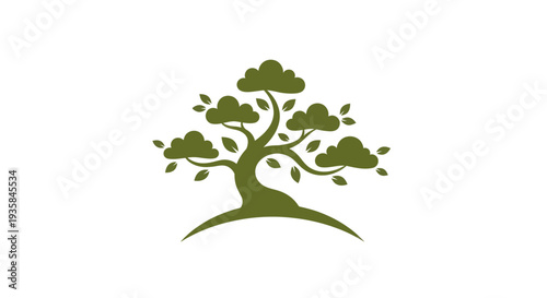 Green bonsai tree isolated on white