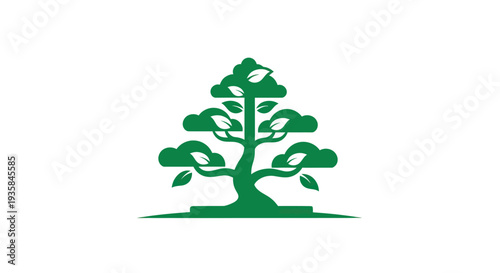 Green bonsai tree isolated on white background