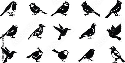 Collection of fifteen black bird silhouettes in different poses and species on white background