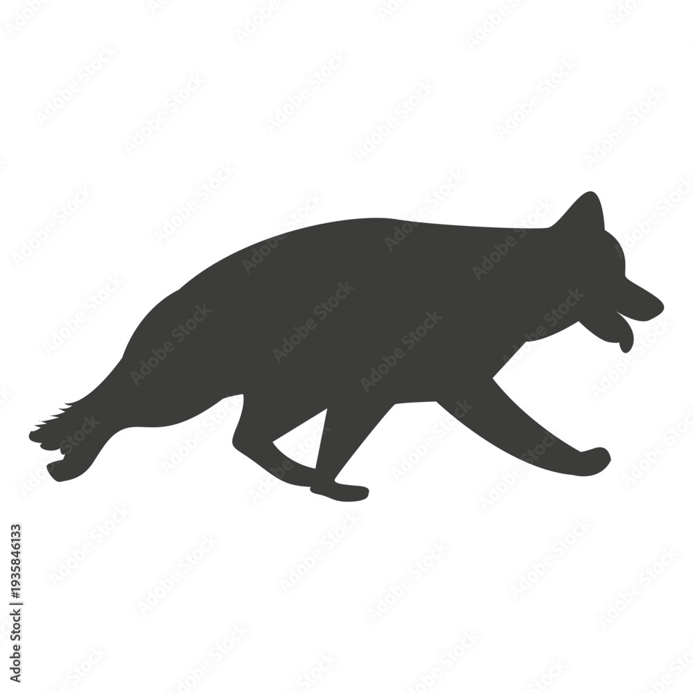 Fototapeta premium German shepherd jwalking silhouette