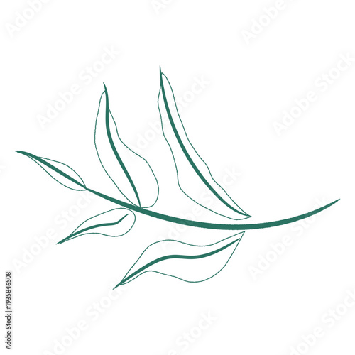 Leaves branch without color hand drawn