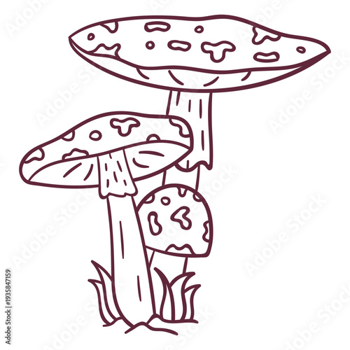 Amanita muscaria mushroom stroke