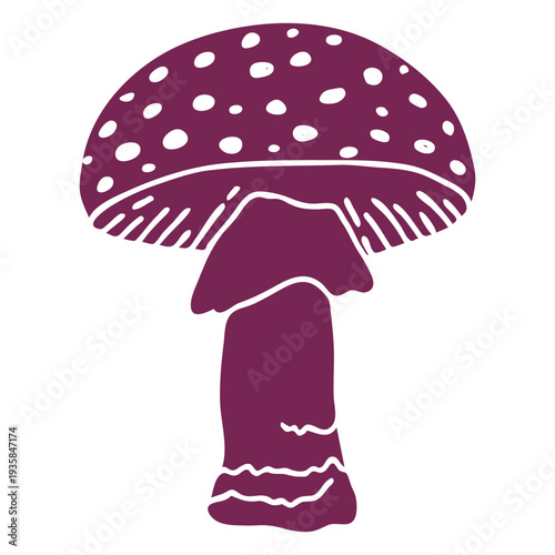 Amanita mushroom fungus