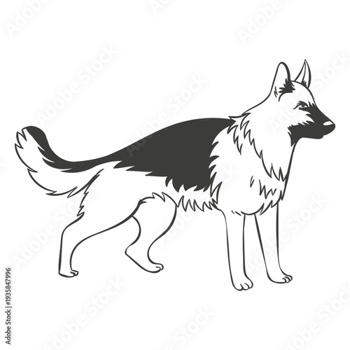 German shepherd staring hand drawn dog