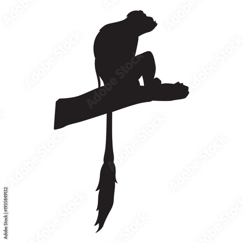 Black and white colobus silhouette