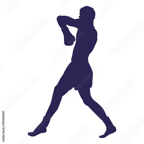 Kickboxing defense silhouette