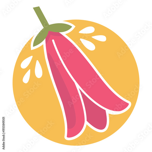 Chilean bellflower flat