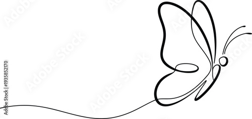 Graceful single stroke rendering of a butterfly with elegant lines against a pure white backdrop
