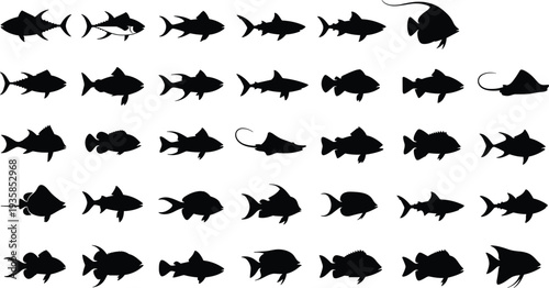 Collection of fish silhouettes set including ocean and freshwater species icons isolated on white background marine wildlife vector illustration