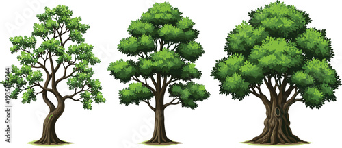 green leafy trees isolated on white background, botanical illustration set, forest foliage collection, detailed nature elements, summer woodland plants,