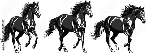 Running horse vector illustration set, galloping wild stallion silhouettes with flowing mane, elegant equine animal motion design isolated wildlife collection