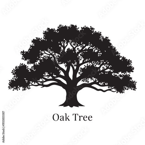 Mighty Oak tree silhouette isolated on white background, black vector illustration